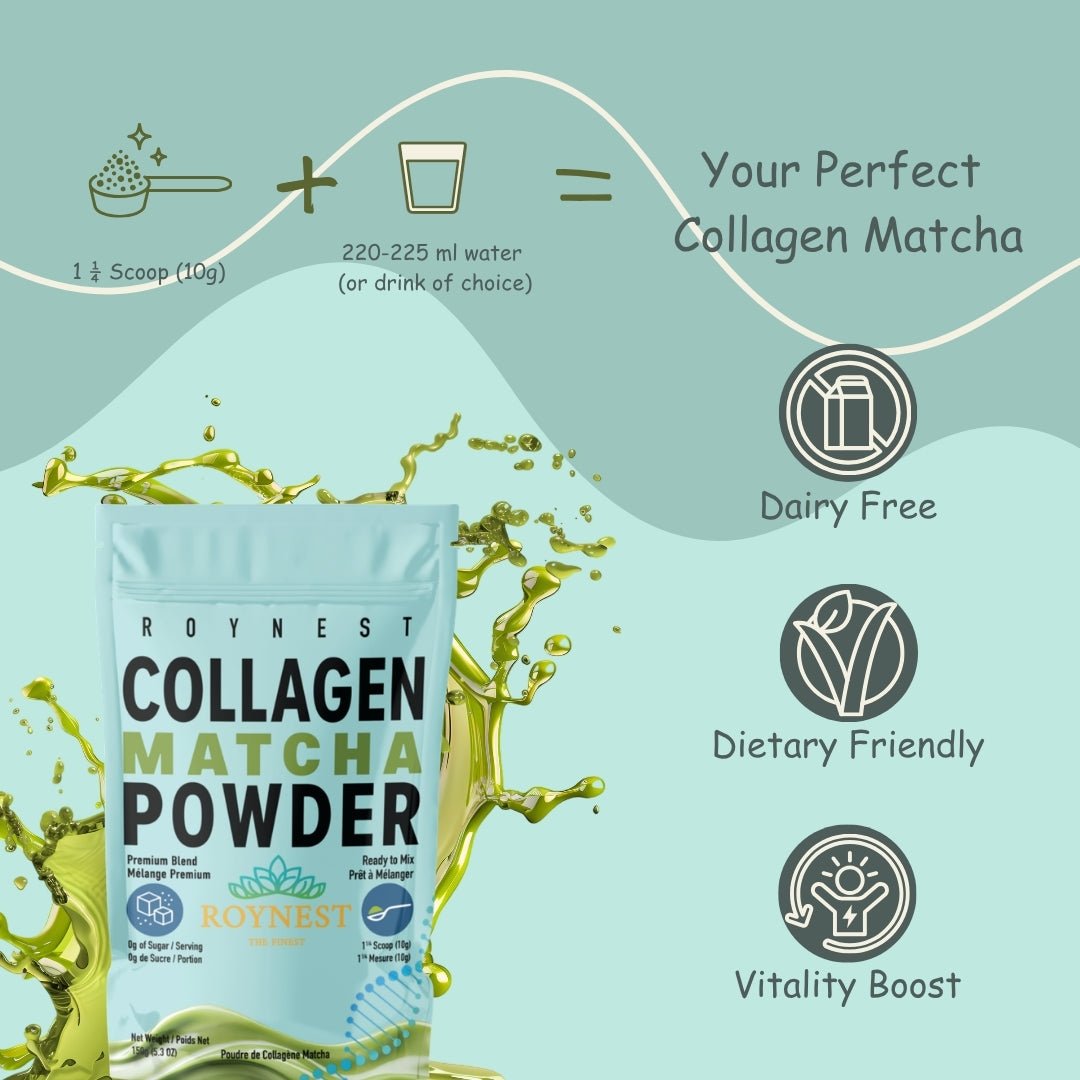 Roynest Collagen Matcha Latte – Case of 16 | Premium Matcha - Roynest