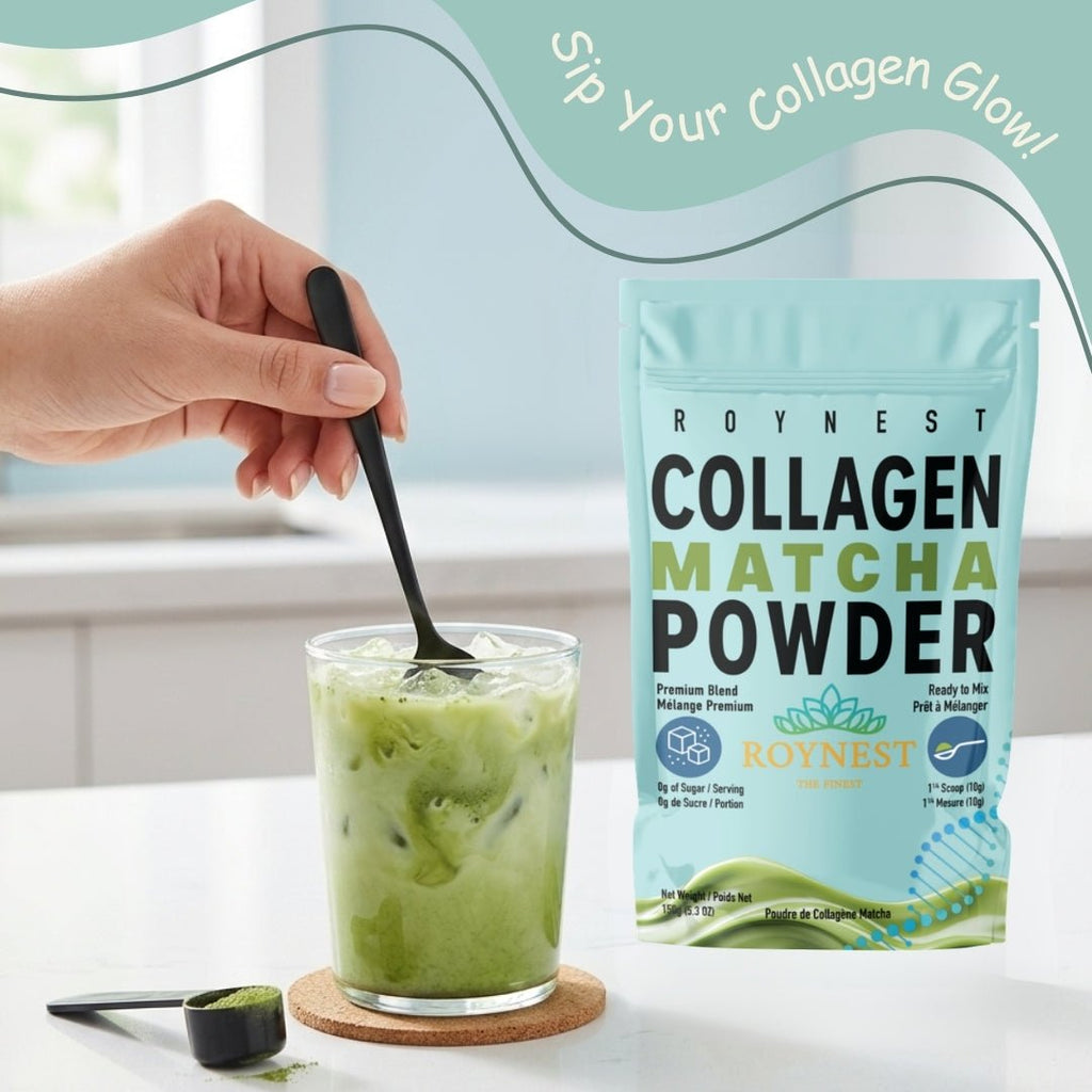 Roynest Collagen Matcha Latte – Case of 16 | Premium Matcha - Roynest