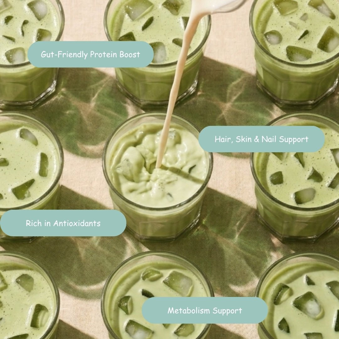 Roynest Collagen Matcha Latte – Case of 16 | Premium Matcha - Roynest